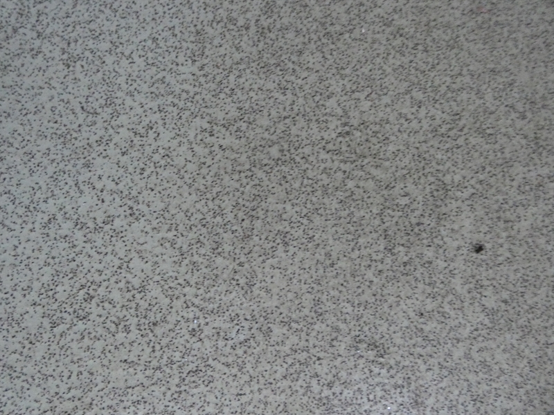 Mercedes-Benz 2014 14 MERCEDES SPRINTER 519 3.0CDI 190PS EX AMBULANCE BEGGING TO BE CONVERTED