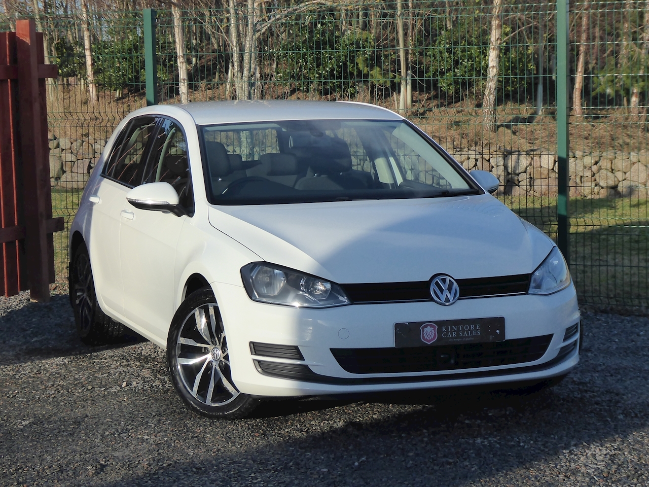 2013 Volkswagen Golf 1.6 SE TDI BLUEMOTION TECHNOLOGY 1.6 Diesel