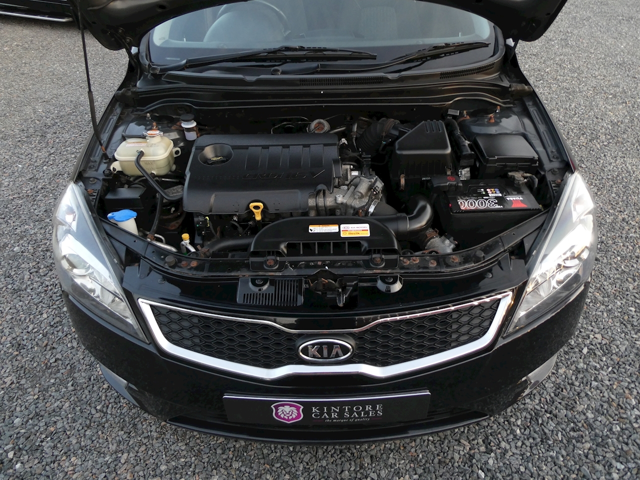 Kia ceed ed двигатель