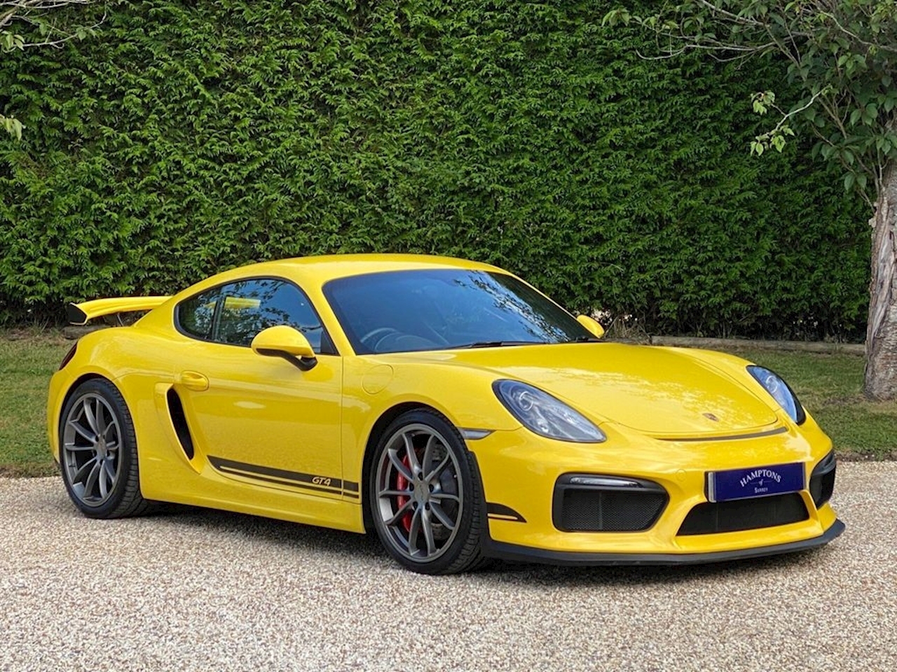 3.8 981 GT4 Coupe 2dr Petrol Manual (s/s) (238 g/km, 385 bhp)