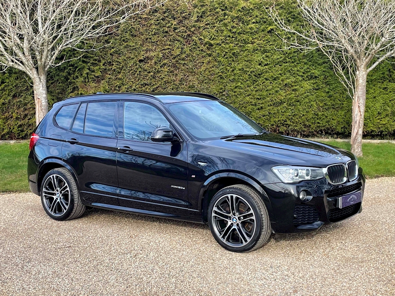 Used 2017 BMW X3 20d M Sport For Sale (U10000656) | Hamptons of Surrey