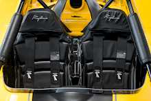 Radical Rapture 2.3 Sport - U5