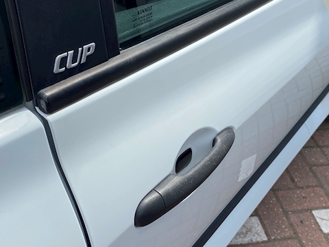 2.0 Renaultsport Cup Hatchback 3dr Petrol Manual (190 g/km, 197 bhp)