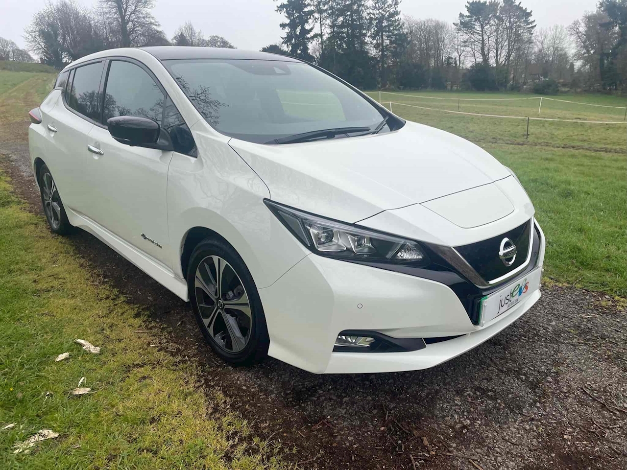 40kWh Tekna Hatchback 5dr Electric Auto (150 ps)
