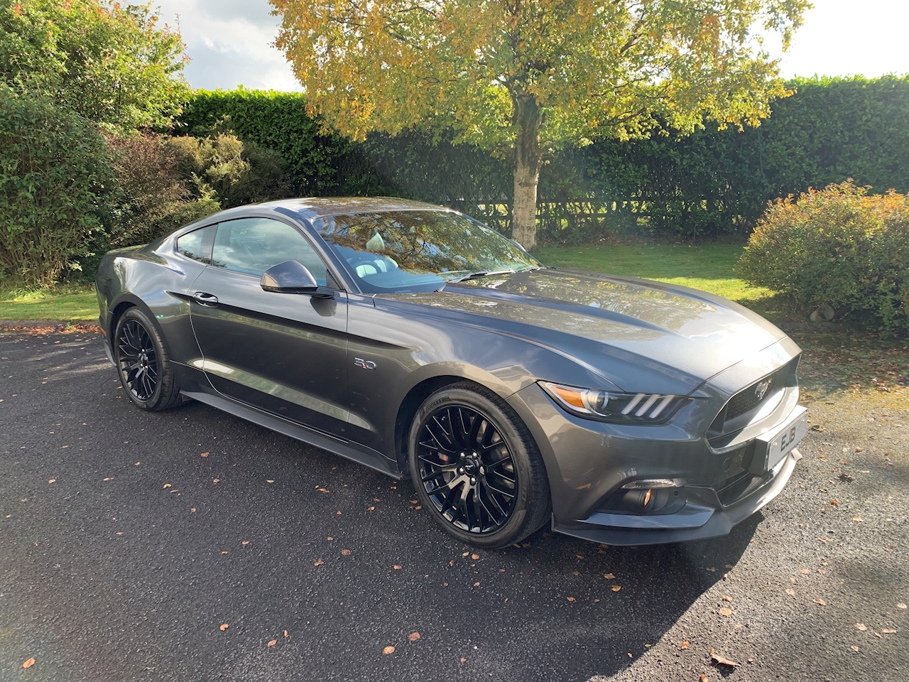 Mustang GT Fastback 5.0 SelShift Petrol