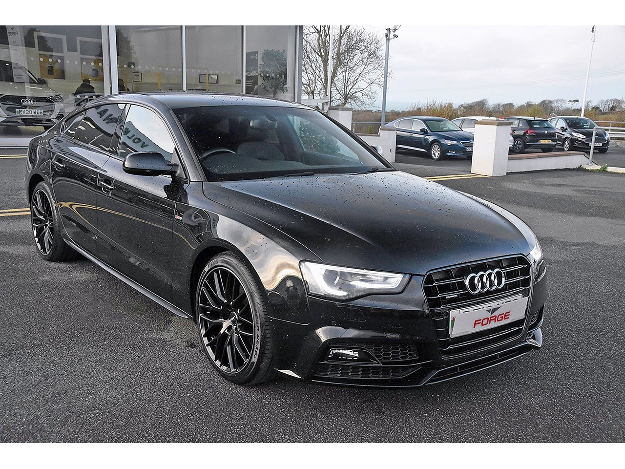 A5 Sportback Black Edition At Travis Poteete Blog A5 Sportback Black Edition At Travis Poteete Blog