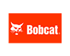 Bobcat