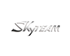 Skyteam